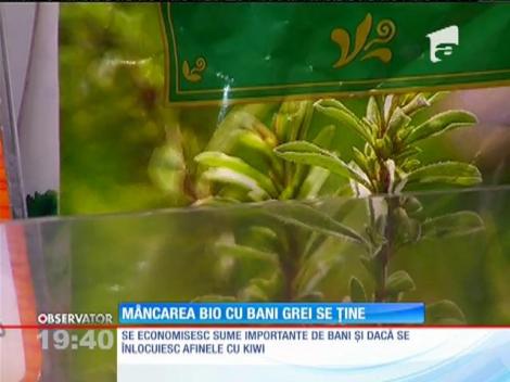 Românii renunţă la vacanţe pentru alimentele bio