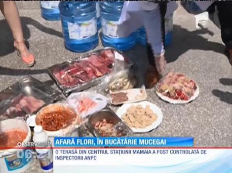 Mâncare stricată şi produse expirate pe o terasă de fiţe din Mamaia