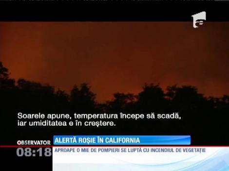 Incendiile de vegetație fac ravagii în California
