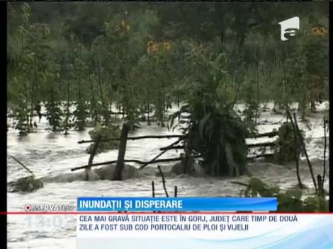 Update / Ploile torenţiale, coşmar pentru jumătate din ţară