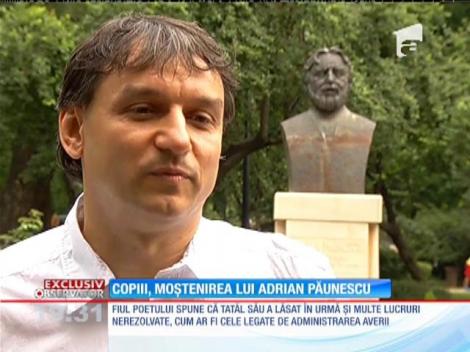 Continuă războiul pe averea lui Adrian Păunescu