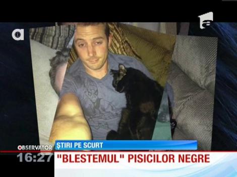 Pisicile negre nu dau bine în fotografiile de tip selfie