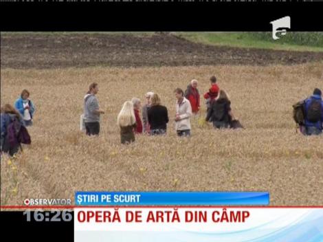 Un câmp din Bavaria, cea mai căutată atracţie turistică din Germania