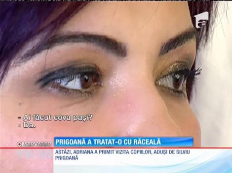 Adriana Bahmuţeanu, tratata cu indiferenţa