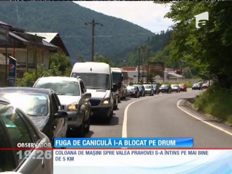 Sufocaţi de căldura din Capitală, bucureştenii au fugit la munte