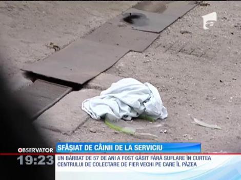 Sf&acirc;șiat de trei rottweileri &icirc;n curtea unui depozit de fier vechi din Bucureşti