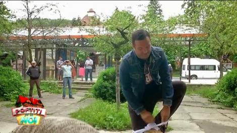 Delia și Buzdugan, parteneri de distracție: Jurata X factor, pasager de onoare într-o roabă!