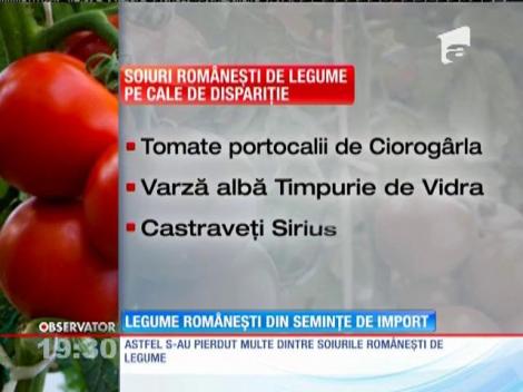 Seminţele pentru legumele plantate în România sunt importate