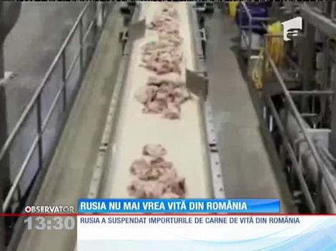 Rusia a suspendat importurile de vită din România