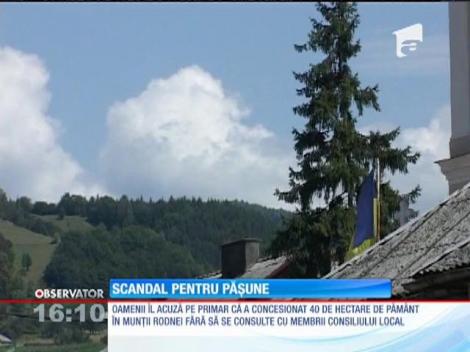 Scandal pe o păşune