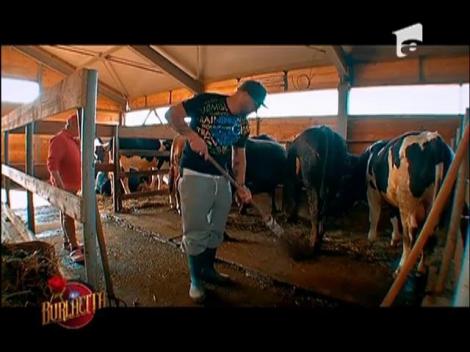 Din paradisul american, direct la fermă! Nu i-ai mai văzut niciodată pe concurenţi aşa