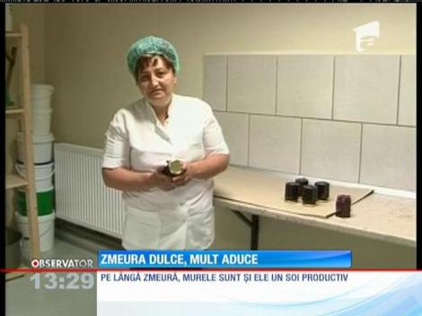 O familie din Mureş produce fructe de pădure bio de cinci ani