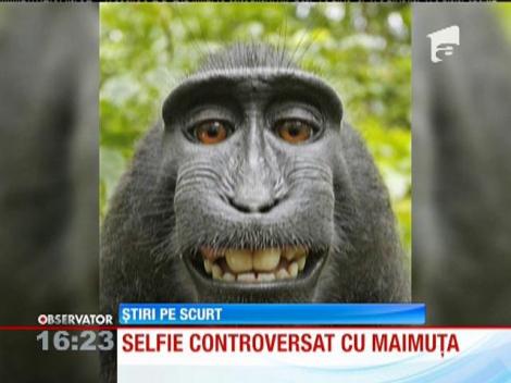 Un selfie făcut de o maimuţă a provocat un scandal uriaş