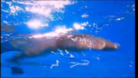 “Sunt Făt-Frumos, am paloşul gros"! Senzație la bustul gol, marca Bogdan Vlădău