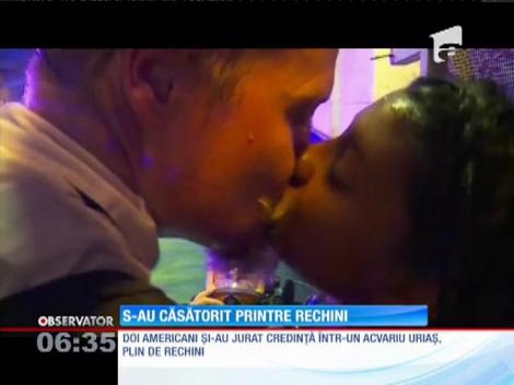 Doi americani s-au căsătorit într-un acvariu plin de rechini