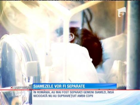 Siamezele din Braşov vor fi separate, în Capitală