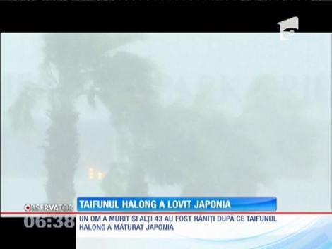 Taifunul Halong a lovit Japonia