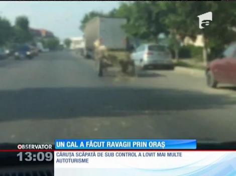 Un cal nărăvaş înhămat la o căruţă a lovit 14 maşini în Târgovişte