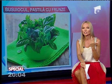 SPECIAL! Busuiocul pe bucate, sănătate curată