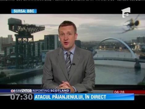 Un păianjen a intrat în direct la știrile BBC