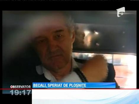 Gigi Becali, speriat de ploşniţe şi şobolani