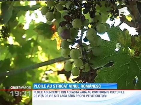 Ploile au stricat vinul românesc