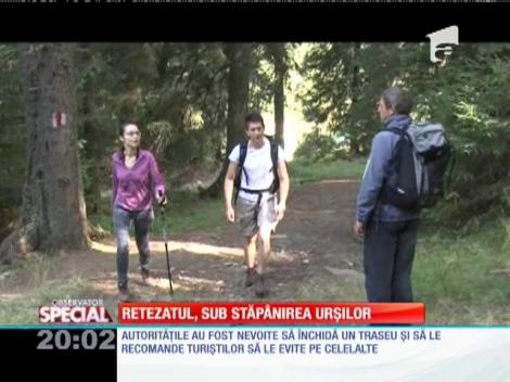 Retezatul, sub stăpânirea urșilor