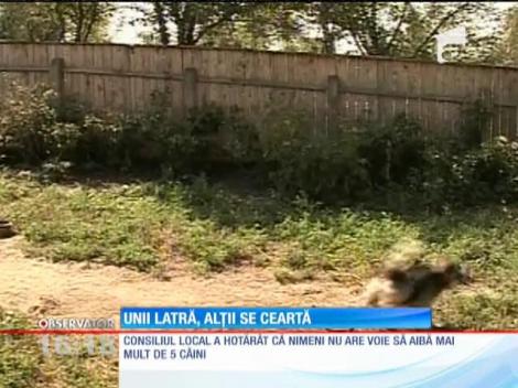 O femeie a adunat în curte zeci de câini, iar vecinii nu mai rezistă din cauza zgomotului şi a mirosului