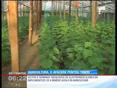 Agricultura, o afacere pentru tineri