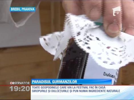 Festivalului Dulceţii din comuna Brebu