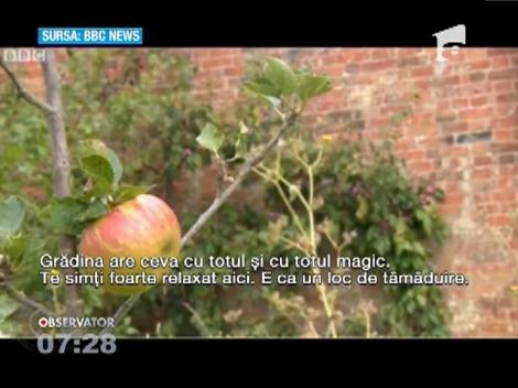 Comoara istorică de sub seră