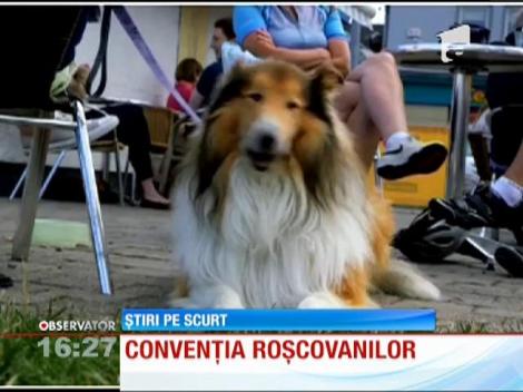 Convenţia roşcovanilor