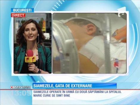 Siamezele născute la Brașov, gata de externare