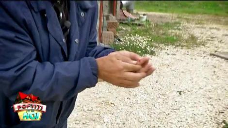 Gustul dulce al răzbunării: Iată cum i-a pedepsit nea Mărin pe băieți după ce s-a accidentat din cauza lor!