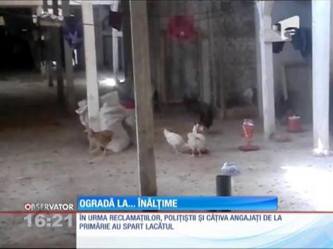 A transformat podul unui bloc într­-o crescătorie de păsări