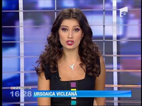 O ursoaică a simulat sarcina pentru a primi mai multă atenție de la îngrijitori