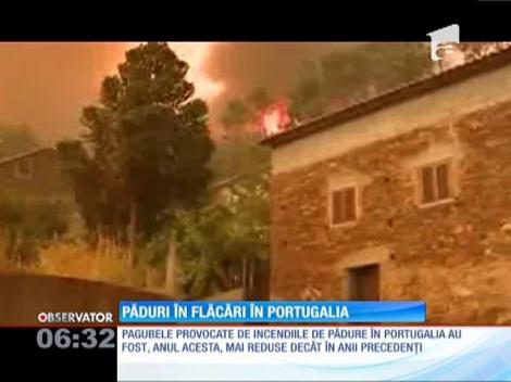 Incendii de amploare în Portugalia