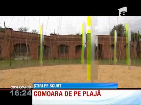 Comoara de pe plajă