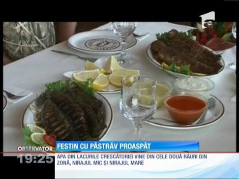 Cei mai buni păstrăvi-curcubeu din Transilvania