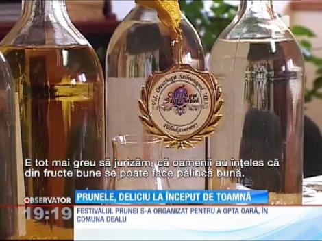 Festivalul Prunei din Harghita