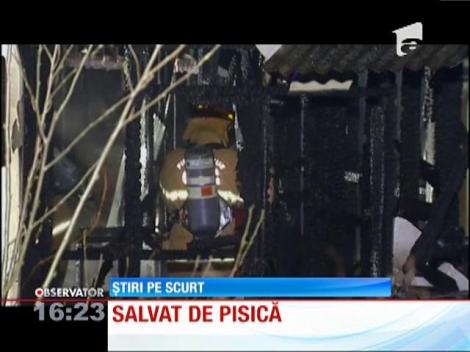 Bărbat salvat de pisică