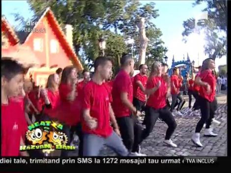 Trouble Crew, dans spectaculos