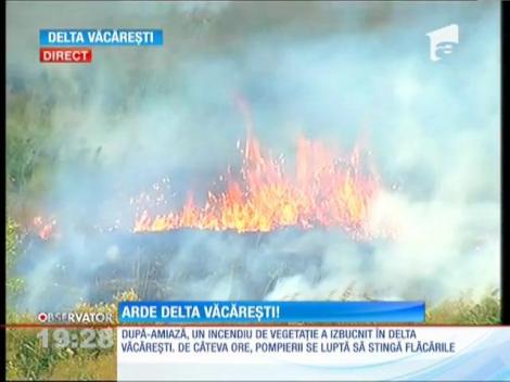 Un incendiu puternic a cuprins o zonă din Delta Văcăreşti!