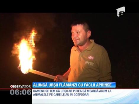 Alungă urșii flămânzi cu făclii aprinse