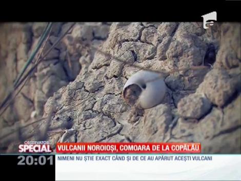 Vulcanul noroios uitat