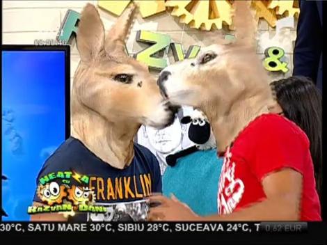 Răzvan și Dani, cei mai simpatici canguri!