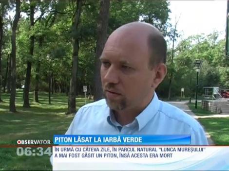 Piton abandonat într-un parc din Arad!
