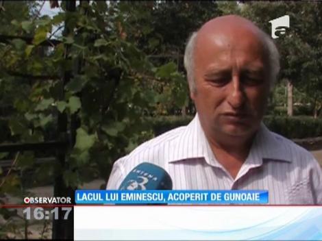„Lacul cu nuferi" de la Ipoteşti, acoperit de gunoaie