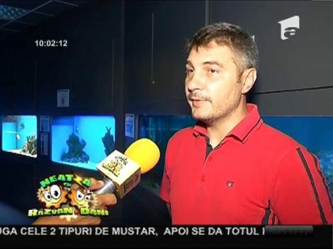 Loc ideal de petrecut vacanta cu copiii!