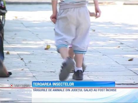 Un bărbat din Galați a fost diagnosticat cu meningită West Nile